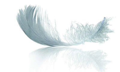 Lightweight feather